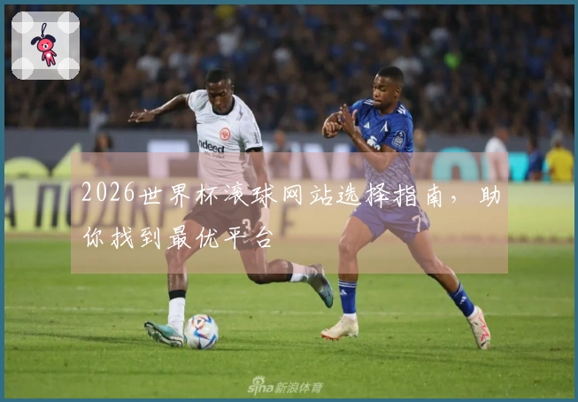 2026世界杯滚球网站选择指南，助你找到最优平台