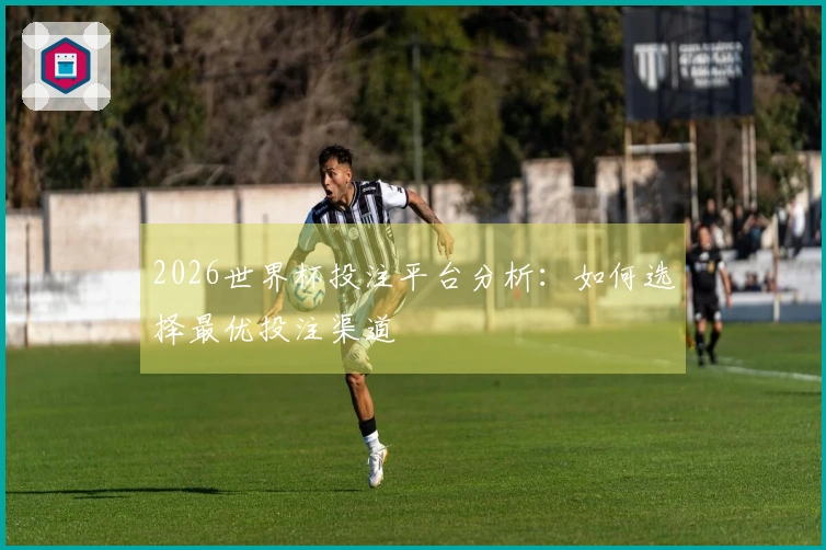 2026世界杯投注平台分析：如何选择最优投注渠道