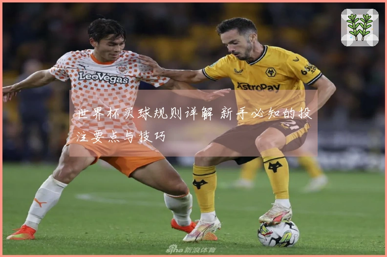 世界杯买球规则详解 新手必知的投注要点与技巧