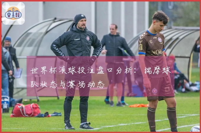 世界杯滚球投注盘口分析：揣摩球队状态与赛场动态