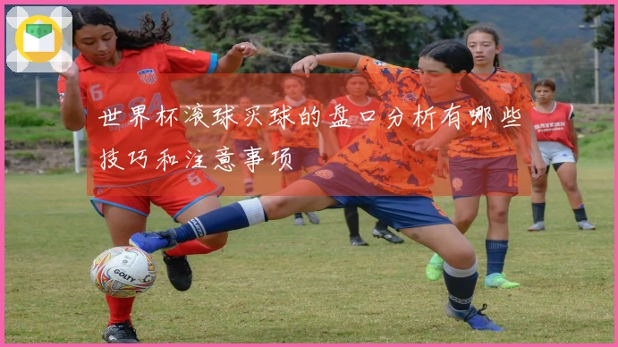 世界杯滚球买球的盘口分析有哪些技巧和注意事项