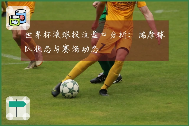 世界杯滚球投注盘口分析：揣摩球队状态与赛场动态