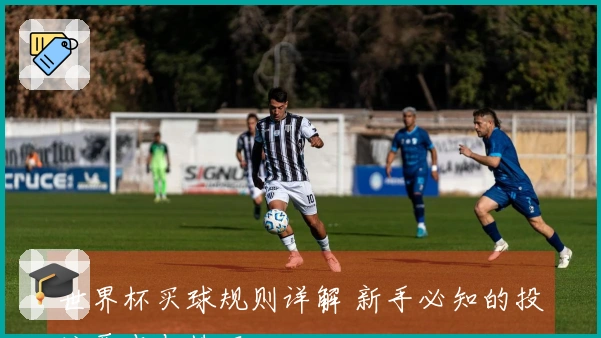 世界杯买球规则详解 新手必知的投注要点与技巧