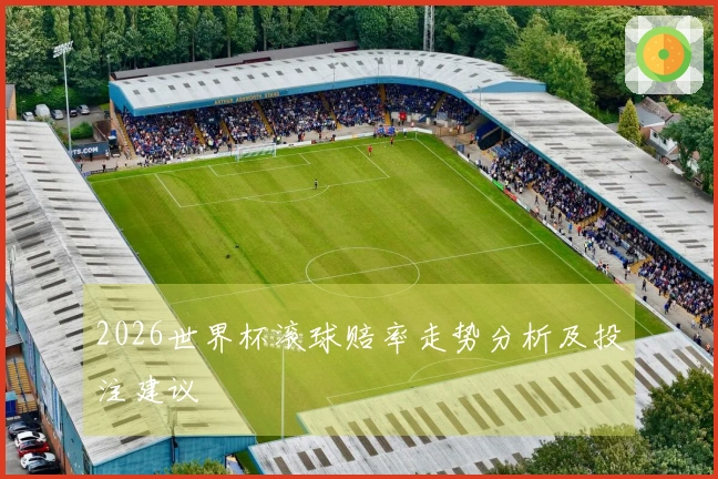 2026世界杯滚球赔率走势分析及投注建议