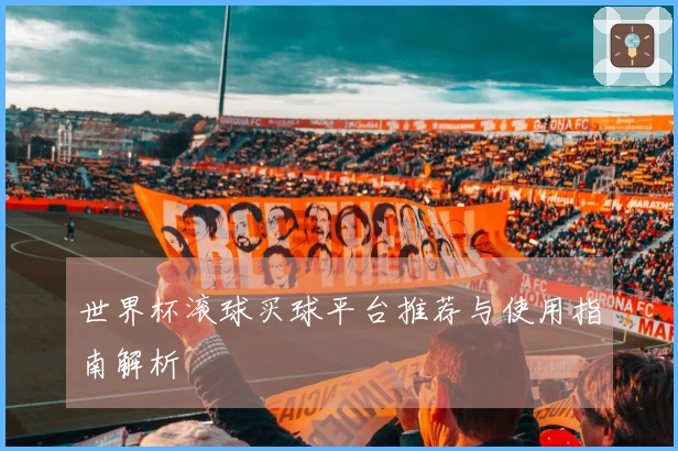 世界杯滚球买球平台推荐与使用指南解析