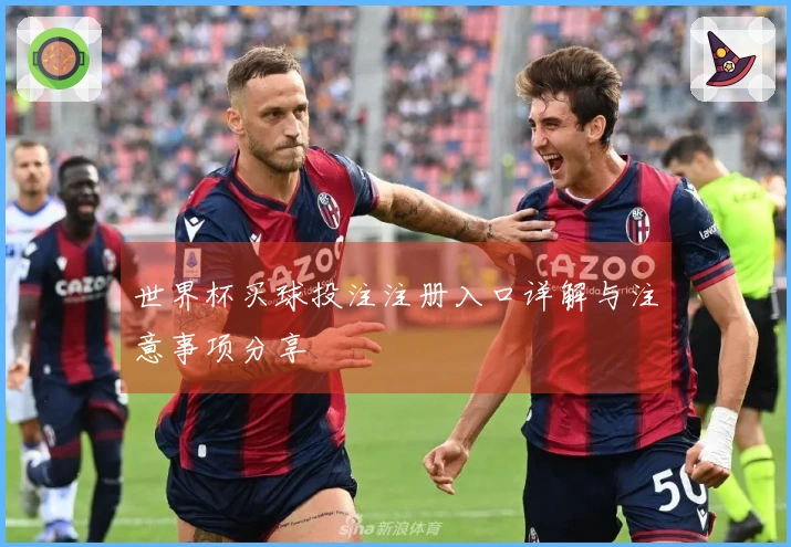 世界杯买球投注注册入口详解与注意事项分享